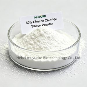 50% Choline Chloride Silicon Powder