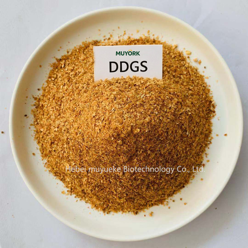DDGSOK