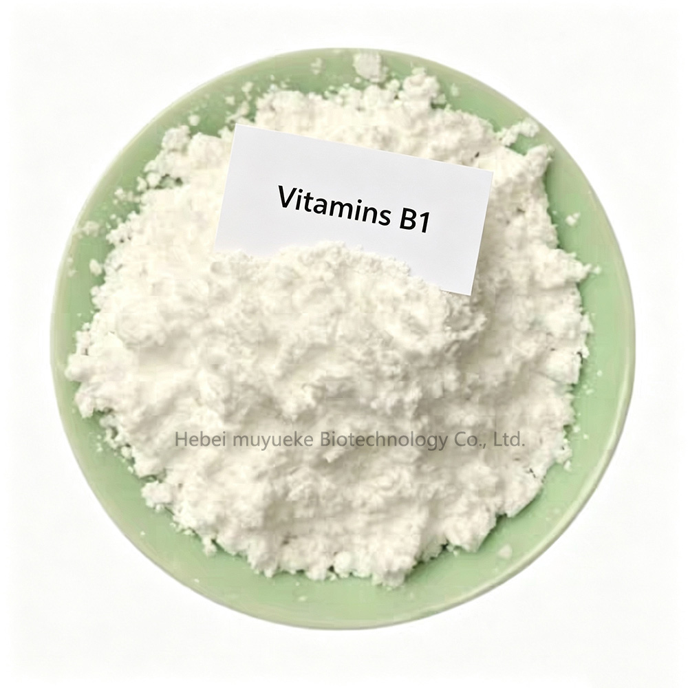 VB1 (1)