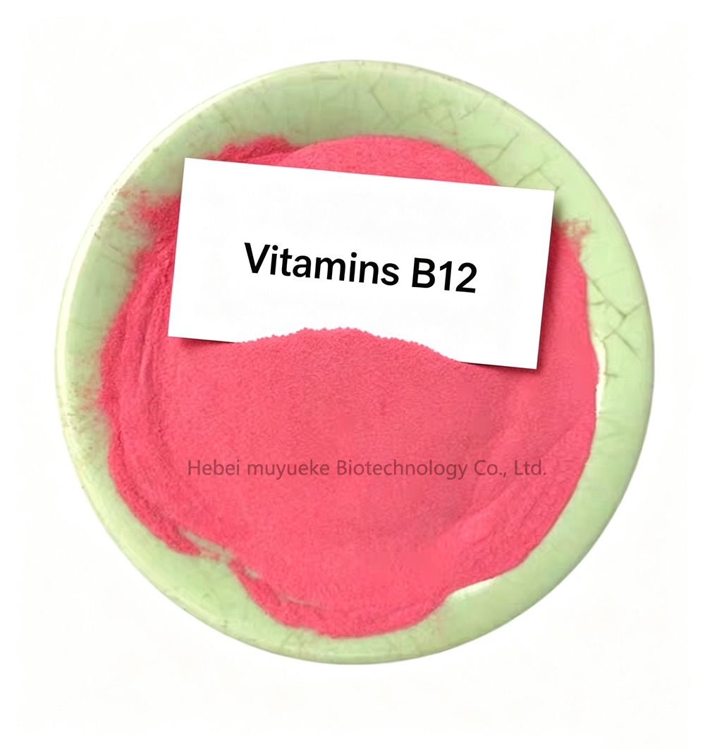 VB12 (1)