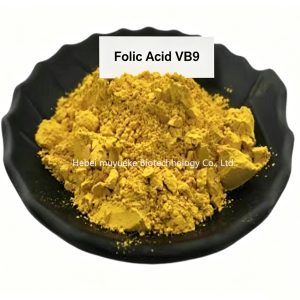 Folic Acid – VB9
