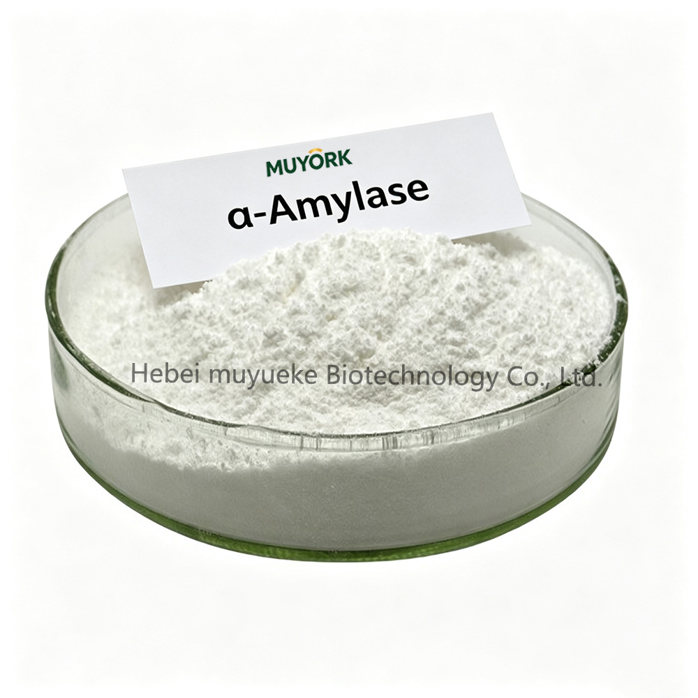 α- 淀粉酶1