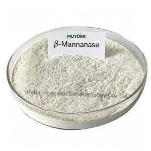 β-Mannanase