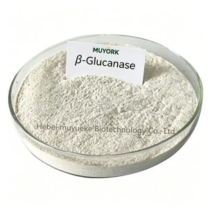 β-Glucanase