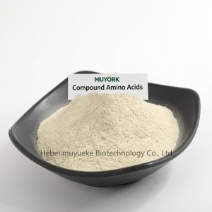 Compound Amino Acids