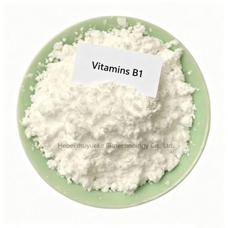 VB1 (1)